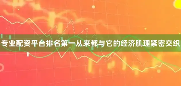 专业配资平台排名第一从来都与它的经济肌理紧密交织