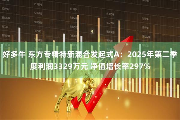 好多牛 东方专精特新混合发起式A：2025年第二季度利润3329万元 净值增长率297%