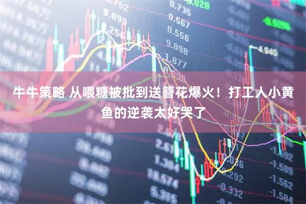 牛牛策略 从喂糖被批到送簪花爆火！打工人小黄鱼的逆袭太好哭了