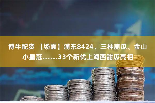 博牛配资 【场面】浦东8424、三林崩瓜、金山小皇冠……33个新优上海西甜瓜亮相