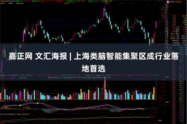 嘉正网 文汇海报 | 上海类脑智能集聚区成行业落地首选