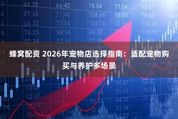 蜂窝配资 2026年宠物店选择指南:适配宠物购买与养护多场景