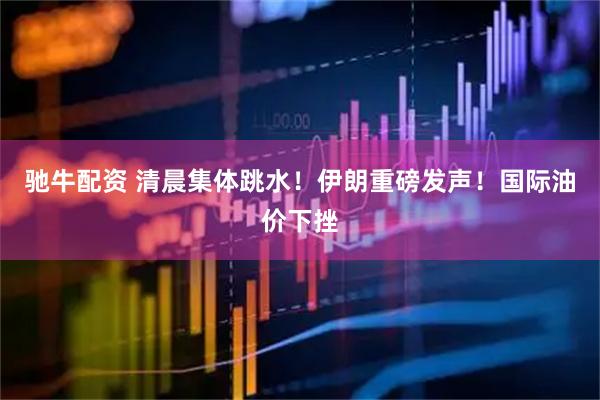 驰牛配资 清晨集体跳水！伊朗重磅发声！国际油价下挫