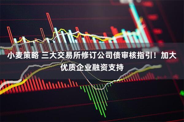 小麦策略 三大交易所修订公司债审核指引！加大优质企业融资支持